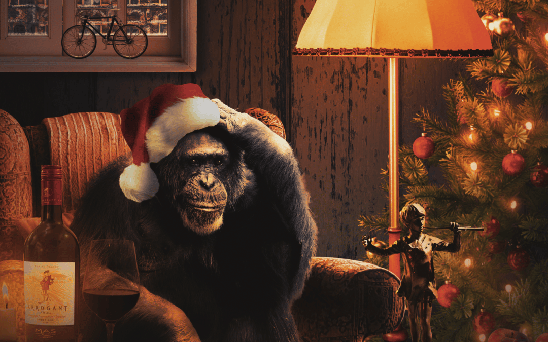 Der Schmöker-Affe … Weihnachts-Edition