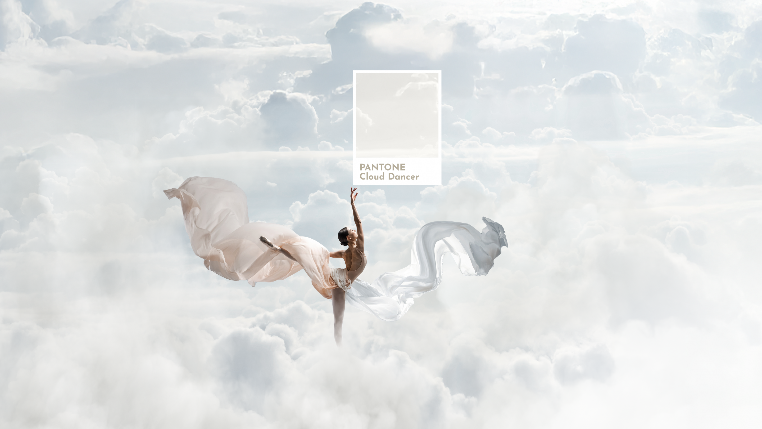 Ein Einblick vom PAN in die Farbwelt 2026 …