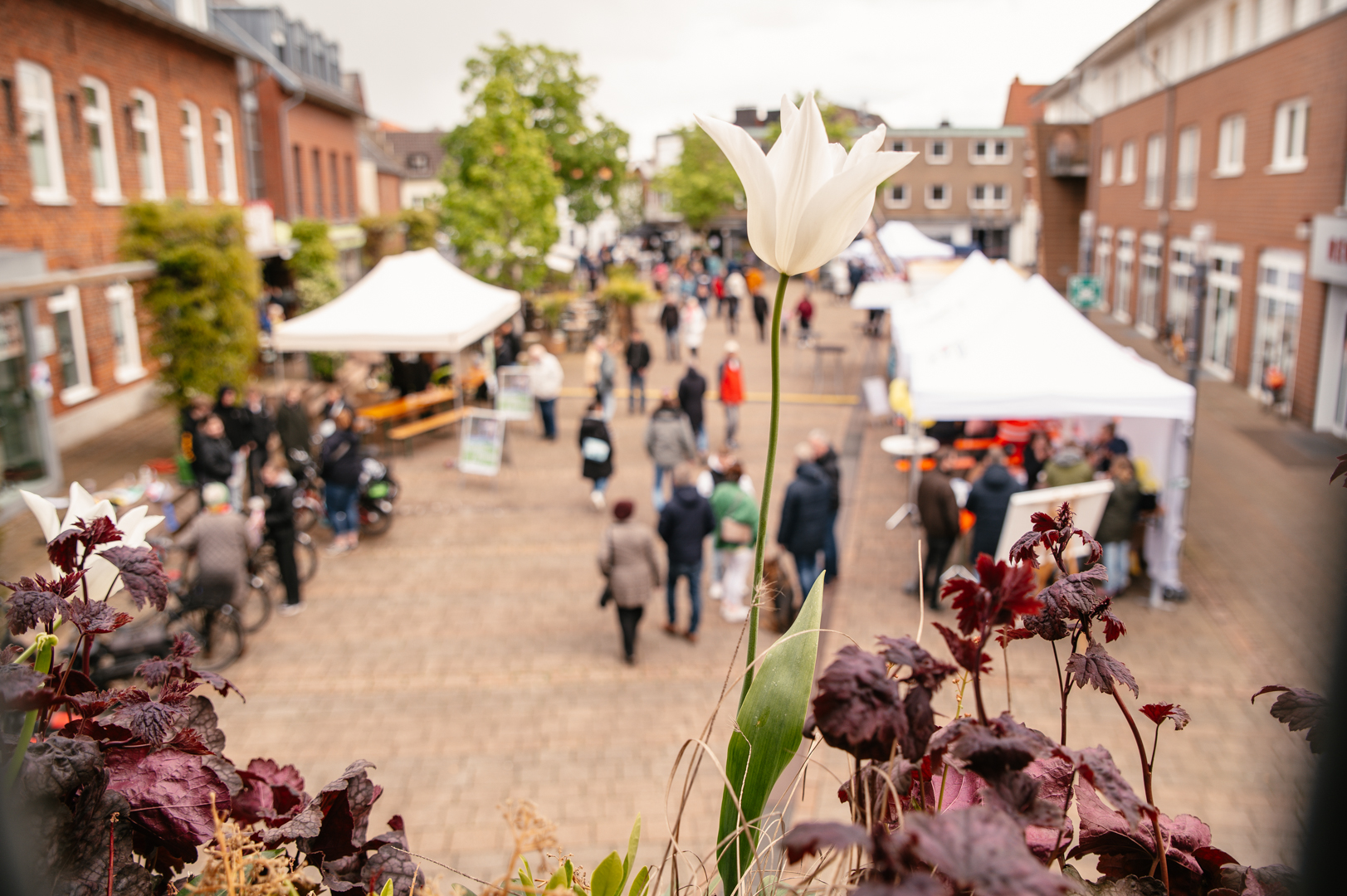 „Frühlingserwachen“ in der Rheder Innenstadt