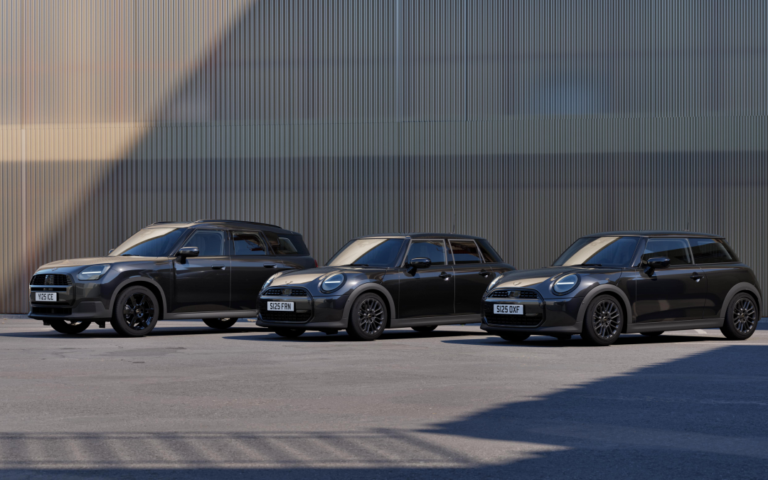 Die MINI Blackyard Familie