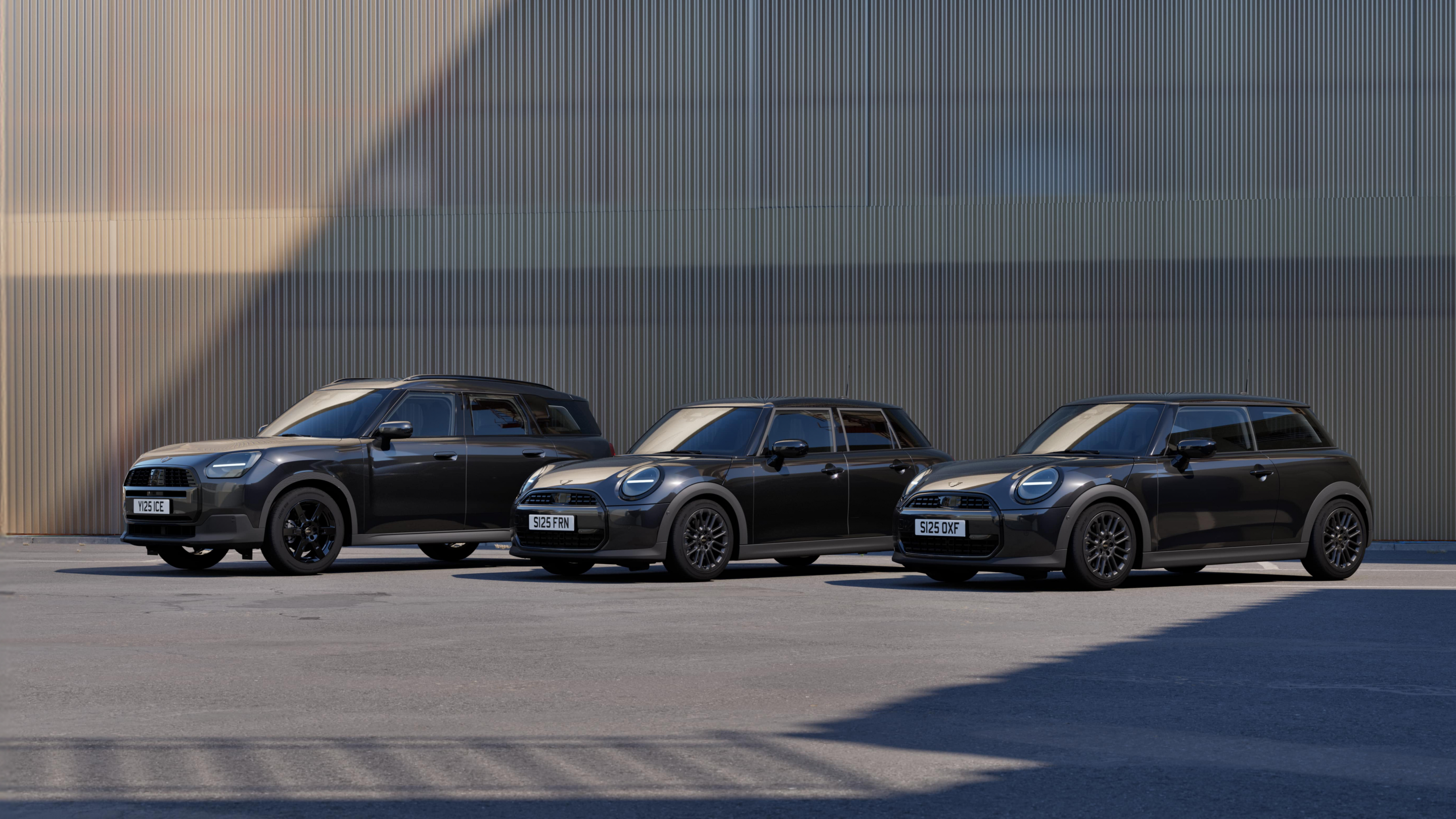 Die MINI Blackyard Familie