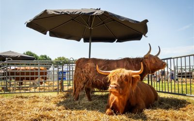 Farm & Country Fair 2026