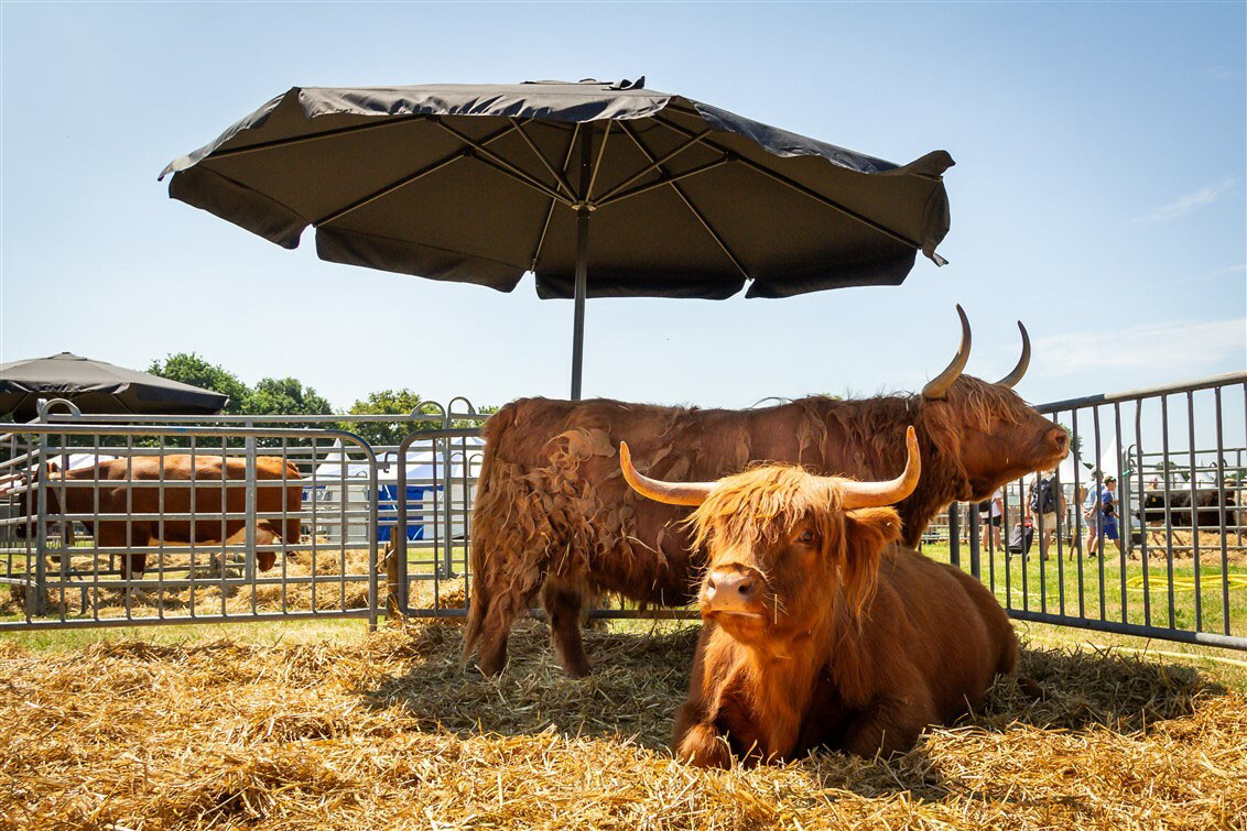 Farm & Country Fair 2026